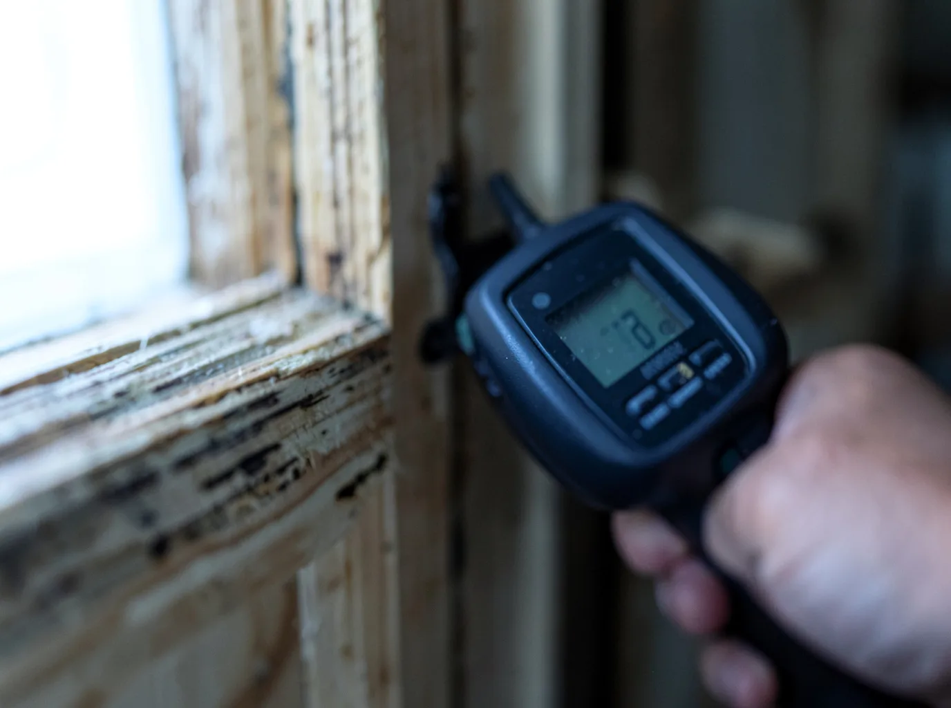 Moisture Inspection And Documentation in Rock Island, TX